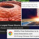 My pet recipe 이미지