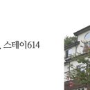 스테이 614 네이버블로그