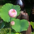 가마골농장 이미지