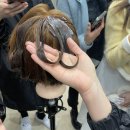 정헤어샾 이미지