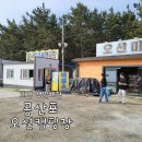 [캠핑] 충남 태안 캠핑장 | 몽산포 오션 캠핑장 | 선착순, 8시 얼리체크인, 갯벌체험
