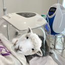 스킨올 | 청주여드름압출 올스킨 강서동 물방울리프팅 후기 피부톤 바로 밝아짐