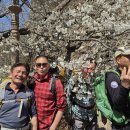 마이산길 이미지