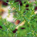 하경 카카오 검색결과