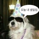 여자의 생일은 한 달이라 하더라?