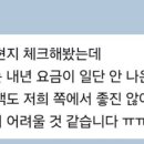 바인트래블 이미지