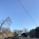 율곡 | [파주캠핑장] 서울 근교 캠핑장 파주 율곡캠핑장 C-05 후기⛺️