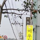 이우돈 이미지