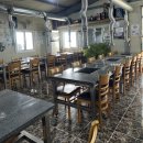 도림장어 이미지