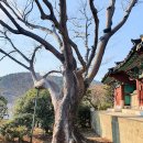 충렬사 이미지