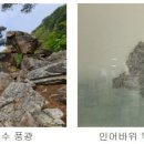 인어루트 이미지