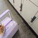 제기로 23-2 | 일본 여행 이심 사용 후기 무제한 esim 사용법 알려드려요