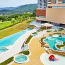 델피노숲 이미지