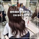 대아헤어샵 - 해운대구 재반로225번길 18 | 인천 부평 미용실추천 엠트헤어 부평본점에서 다크브라운 염색 차분한 분위기