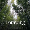 청소년푸른쉼터 화장실 | 담양 죽녹원 입장료 주차장 소요시간 겨울 후기(족욕 강아지 애견)