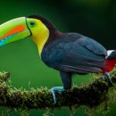 팔덕면 창덕로 전북 네이버블로그