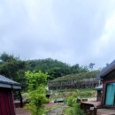 수영장펜션 이미지