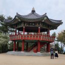 해월정 Daum카페