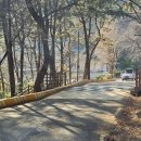 빼빼만덕 이미지