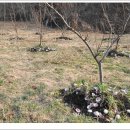 북일면사무소 이미지