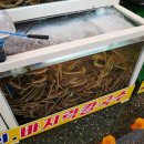 경포대횟집 이미지