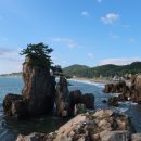 사인1리 이미지