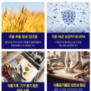 소주 청소 활용법 대신 만능 세정 소독제 진로 바이오크린콜 자세한 활용법 내돈후기