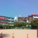 서울보광초등학교 이미지