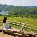 동주목장 이미지