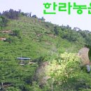 우리농장 이미지