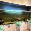 열린나라어린이집 이미지