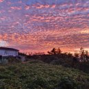 갈매기식당 이미지