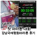 강남제비스코(주)평택 | 제22회 강남평화마라톤 5K 완주 첫 도전 후기 (런린이 5Km 6분 페이스)