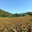 이불이야기 - 울진군 평해로 71-1 | 이불이야기