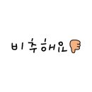 아라애견 이미지