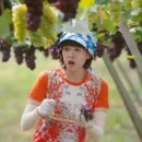 선진농원 이미지