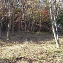 화덕농장 이미지