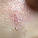 팩트성형외과의원 이미지