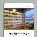 어른 마음 그림책 여행 | [속초] 감성여행 코스: 동그란책 그림책방 &amp; 소품샵 리뷰