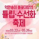 행정사사무소 봄 이미지