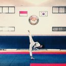 경희대 더함 태권도장 이미지