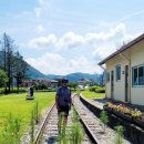 또오리 강촌 조형물 이미지