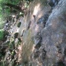 계곡이야기 이미지