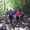 김영래농장 이미지