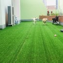 퍼리테일 이미지