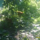 범수네농장 이미지