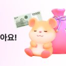 [지그재그 앱테크] 두달동안 복덩이 키우고 공짜 기프티콘 받은 솔직후기