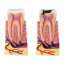 서울앤치과 이미지