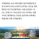 코레일 자회사 직원들 매일 반나절만 근무, 회사는 4년간 몰랐다 이미지