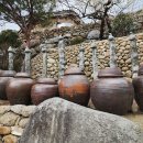 청매실농원 이미지